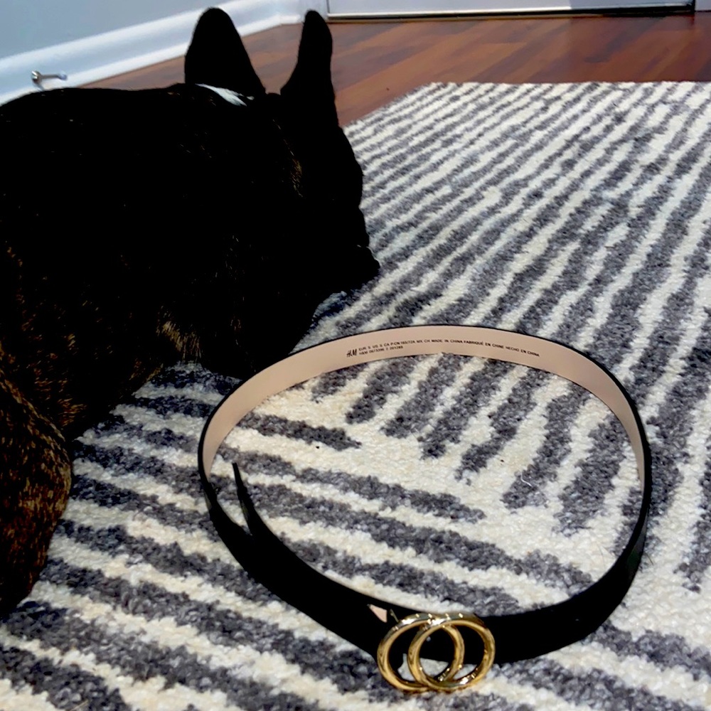 H&M black belt- Small